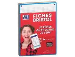 Fiches bristol oxford revision 2.0 a5 perforee 32 fiches/film q5x5 carton assorti