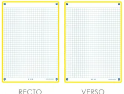 Fiches oxford bristol revision 2.0 oxford a5 perforee 32 fiches/film q5x5 cadre jaune