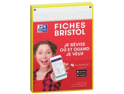 Fiches oxford bristol revision 2.0 oxford a5 perforee 32 fiches/film q5x5 cadre jaune