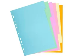 Intercalaire exacompta carte forte recyclee 170gr 17x22cm 6 positions coloris pastel
