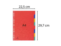 Intercalaire exacompta carte lustrée résistante 225g 8 touches a4 coloris assortis