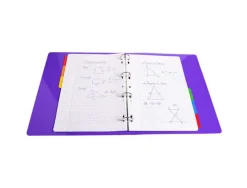 Intercalaire exacompta carte blanche 160g 6 positions a4 onglets couleur renforcés