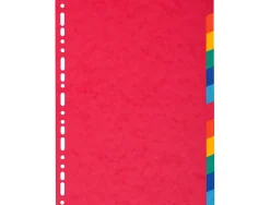 Intercalaire exacompta carte marbrée recyclée 220g 12 positions a4 coloris vifs