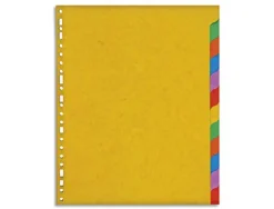 Intercalaire exacompta carte marbrée recyclée 220g 12 positions xxl coloris vifs