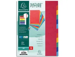 Intercalaire exacompta carte lustree 225gr a4 12 positions coloris assortis