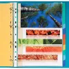 Intercalaire q-connect carte lustrée 225g 12 positions a4 210x297mm