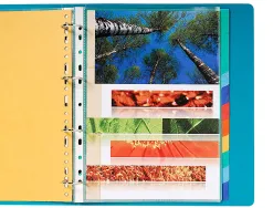 Intercalaire q-connect carte lustrée 225g 12 positions a4 210x297mm