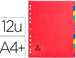 Intercalaire q-connect carte lustrée 225g 12 positions a4+ 212x310mm