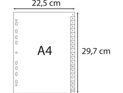 Intercalaires imprimes alphabetiques exacompta polypropylene a4 20positiones a-z gris