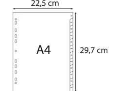 Intercalaires imprimes mensuels exacompta polypropylene a4 12positiones / mois gris