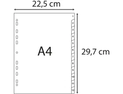 Intercalaires imprimes numeriques exacompta polypropylene a4 12positiones /numerique gris