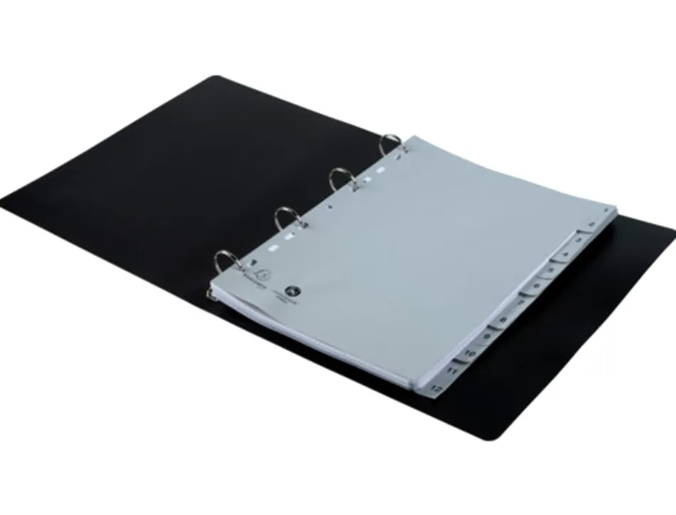 Intercalaires imprimes numeriques exacompta polypropylene a4 12positiones /numerique gris