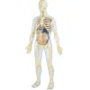 Jeu miniland anatomie humaine 45 pièces 56cm