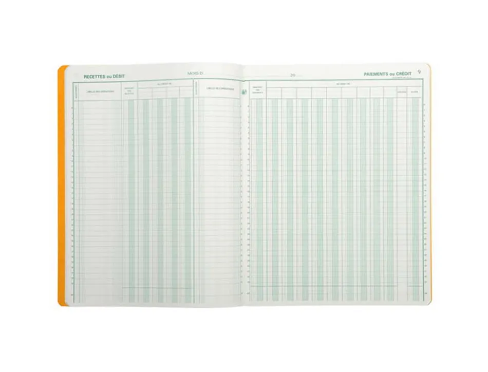 Journal exacompta caisse/banque 250x320mm vertical 33 lignes 80 pages 2 libellés 9 débits 4 crédits