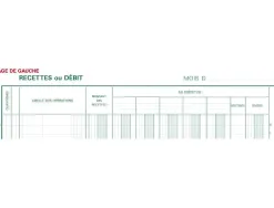 Journal exacompta caisse/banque 250x320mm vertical 33 lignes 80 pages 2 libellés 5 débits 5 crédits