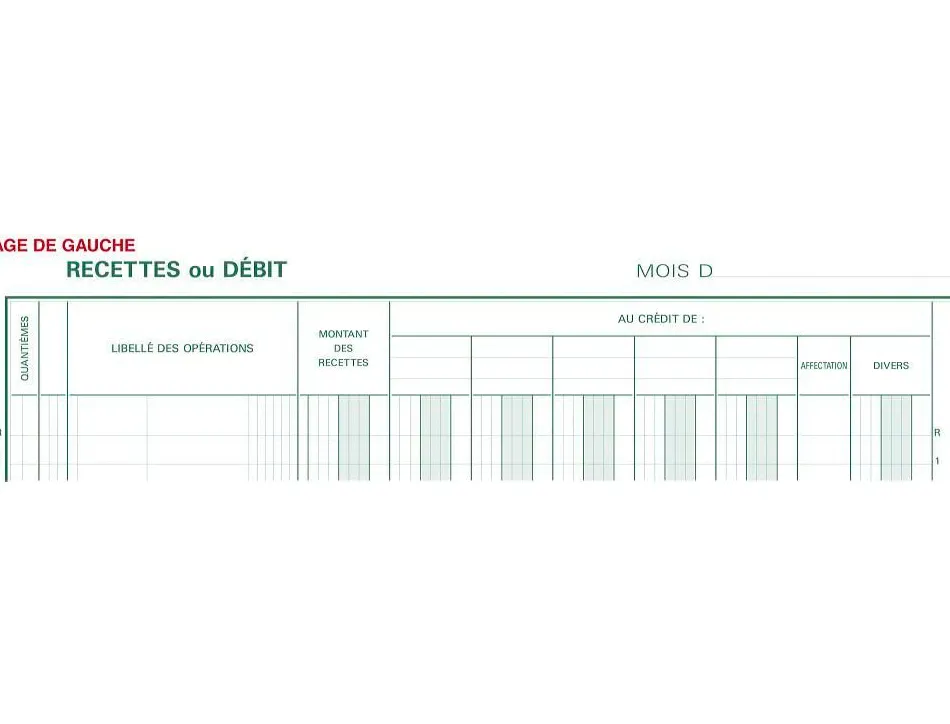 Journal exacompta caisse/banque 250x320mm vertical 33 lignes 80 pages 2 libellés 5 débits 5 crédits