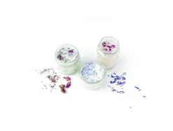Kit bougies fleuries graine creative pour 12 eleves kit complet