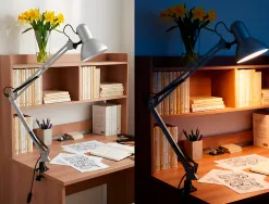 Lampe bureau q-connect antares puissance 40w dimensions 720x160mm coloris argent