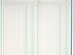 Livre inventaire exacompta 320x195mm vertical 31 lignes 80 pages
