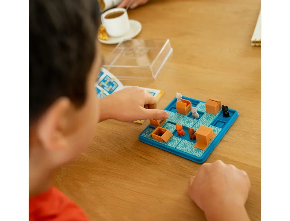 Logique reflexion smart chats tournent en rond 60 defis proposes 1 plateau de jeu 5 chats 4 pieces de jeu 1