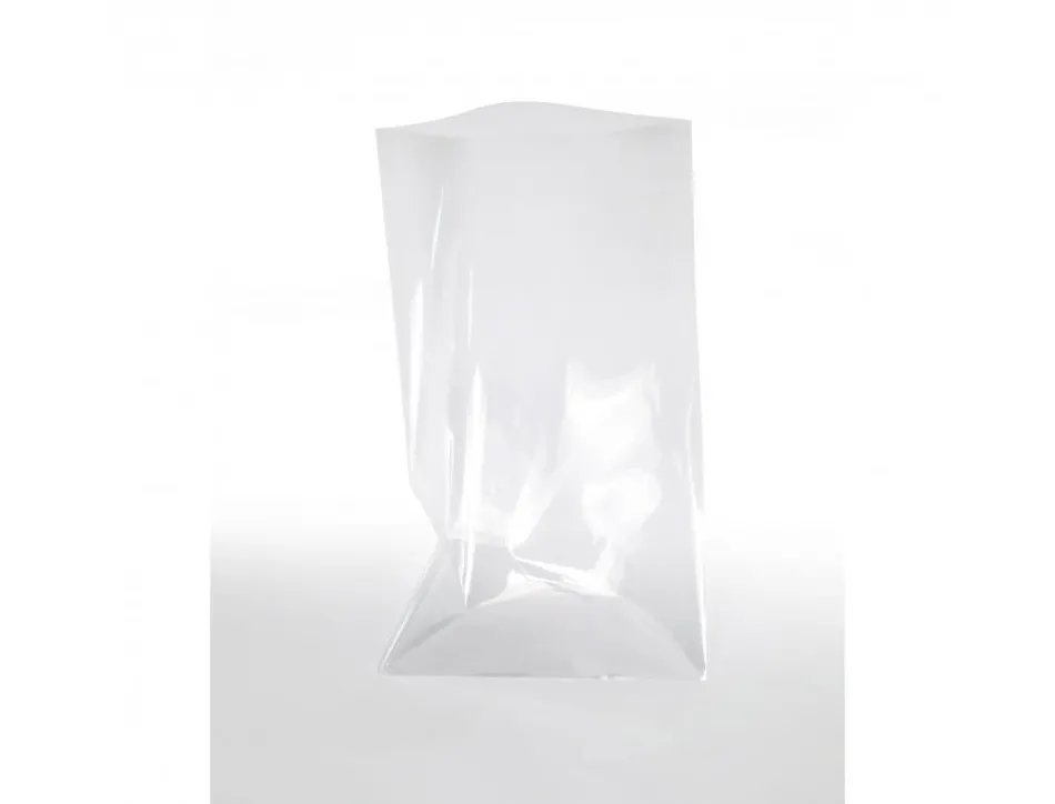 Lot sachets transparents graine creative 18x30 cm 10 unites