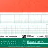 Manifold comptable exacompta piqué tête paresseuse 270x320mm horizontal 28 lignes 80 pages 20 colonnes/2 pages