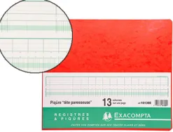 Manifold comptable exacompta piqué tête paresseuse 320x250mm vertical 31 lignes 80 pages 13 colonnes/page