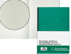 Manifold exacompta piqué a4 210x297mm 5x5mm folioté vertical 80 pages