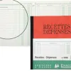 Manifold exacompta piqué 190x210mm 80 pages recettes dépenses