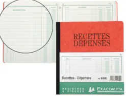Manifold exacompta piqué 190x210mm 80 pages recettes dépenses