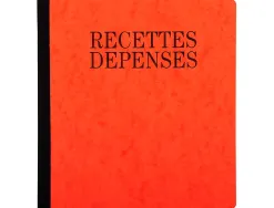 Manifold exacompta piqué 190x210mm 80 pages recettes dépenses
