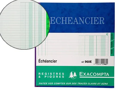 Manifold exacompta piqué 190x210mm 80 pages échéancier