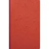 Manifold exacompta piqué 195x320mm 80 pages échéancier