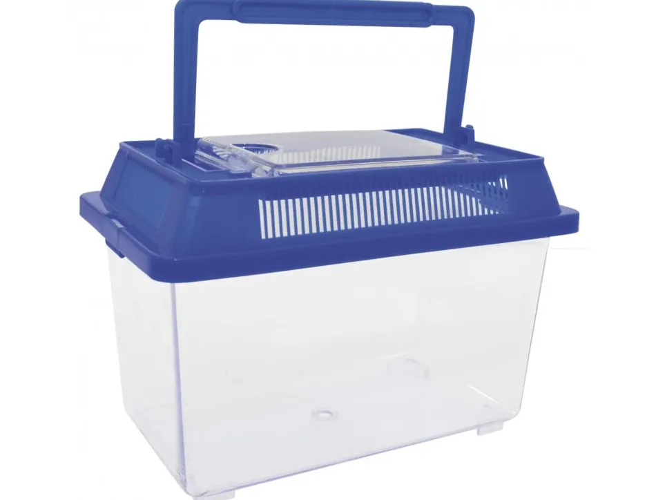 Materiel d observation eduplay 2 boites a insectes 2 tailles rainures d aerage et poignee coloris assortis