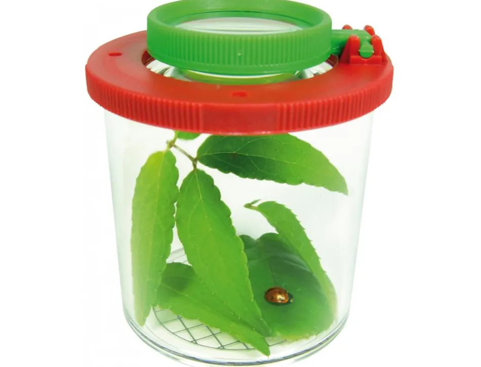 Materiel d observation eduplay boite loupe grand modele quadrillage 5 mm tailles des animaux plastique