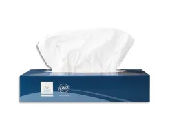 Mouchoirs blancs 2 plis 100 feuilles format 19,7 x 20 cm boîte 100