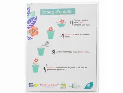 Pack formes printemps en papier ensemenc - 3,5 cm - 100 pcs - coloris blanc