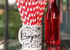 Paille en papier biodegradable coldis diametre 6mm longueur 20cm coloris rouge/blanc boite 250 unites