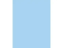 Papier affiche clairefontaine 60x80cm 90g coloris bleu clair paquet 25 feuilles