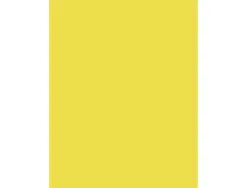 Papier affiche clairefontaine 60x80cm 90g coloris jaune clair paquet 25 feuilles