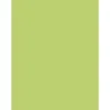 Papier affiche clairefontaine 60x80cm 90g coloris vert clair paquet 25 feuilles