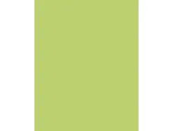 Papier affiche clairefontaine 60x80cm 90g coloris vert clair paquet 25 feuilles