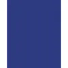 Papier affiche clairefontaine 60x80cm 90g coloris bleu fonce paquet 25 feuilles