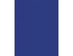 Papier affiche clairefontaine 60x80cm 90g coloris bleu fonce paquet 25 feuilles