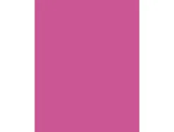 Papier affiche clairefontaine 60x80cm 90g coloris fuchsia paquet 25 feuilles