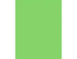Papier affiche clairefontaine 60x80cm 90g coloris vert fonce paquet 25 feuilles