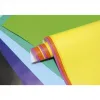 Papier affiche clairefontaine 60x80cm 90g coloris assortis paquet 50 feuilles