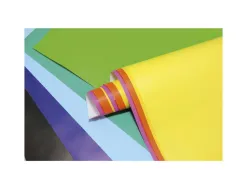 Papier affiche clairefontaine 60x80cm 90g coloris assortis paquet 50 feuilles