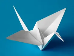 Papier cartonné liderpapel dessin travaux manuels 240g/m2 50x65cm unicolore blanc