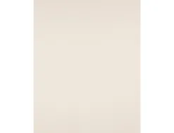 Papier cartonné liderpapel dessin 240g/m2 50x65cm collage facile coloris intense crème